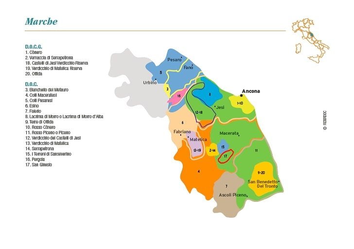 Le Marche Region wines